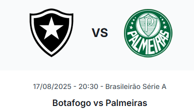 Botafogo vs Palmeiras